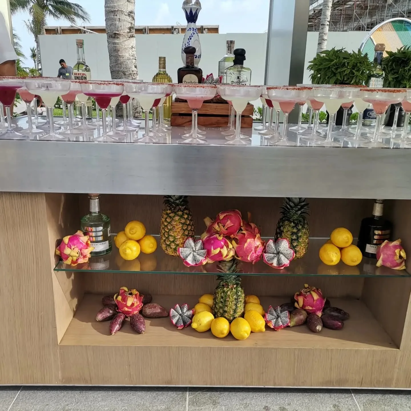 Barra preparada con filas de copas, frutas tropicales, botellas y dos personas detrás.